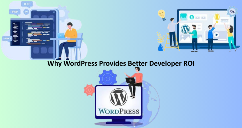 Why WordPress Provides Better Developer ROI